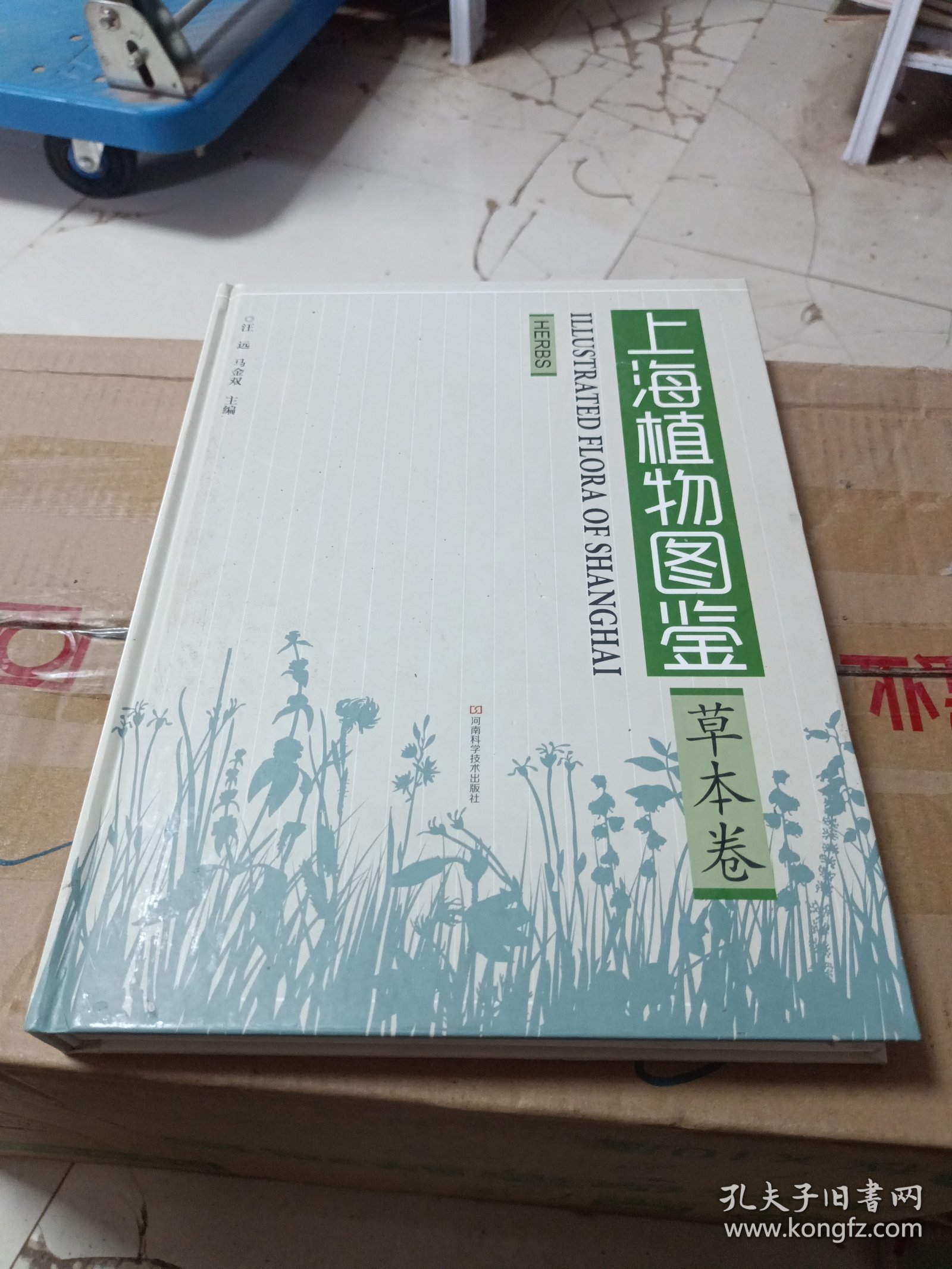 上海植物图鉴·草本卷