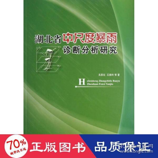 湖北省中尺度暴雨诊断分析研究