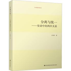 分离与统一——变动中的两岸关系 政治理论 王英津 新华正版