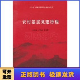 农村基层党建历程