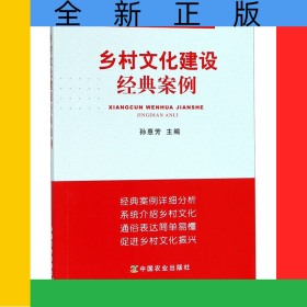 鄉(xiāng)村文化建設(shè)經(jīng)典案例/中國鄉(xiāng)村振興書系