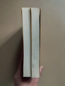 年羹尧(上下)-清代虎将-长篇历史小说