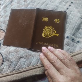 聘书，培训证，荣誉证书，毕业证，奖状共十一份