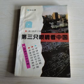 第三只眼睛看中国