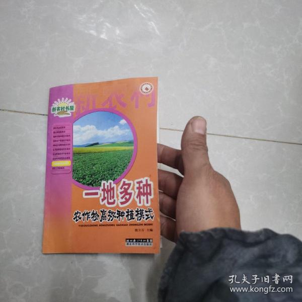 一地多种农作物高效种植模式