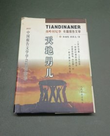 天地男儿:南岭村纪事:长篇报告文学