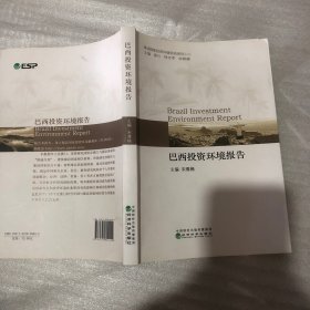 巴西投资环境研究报告