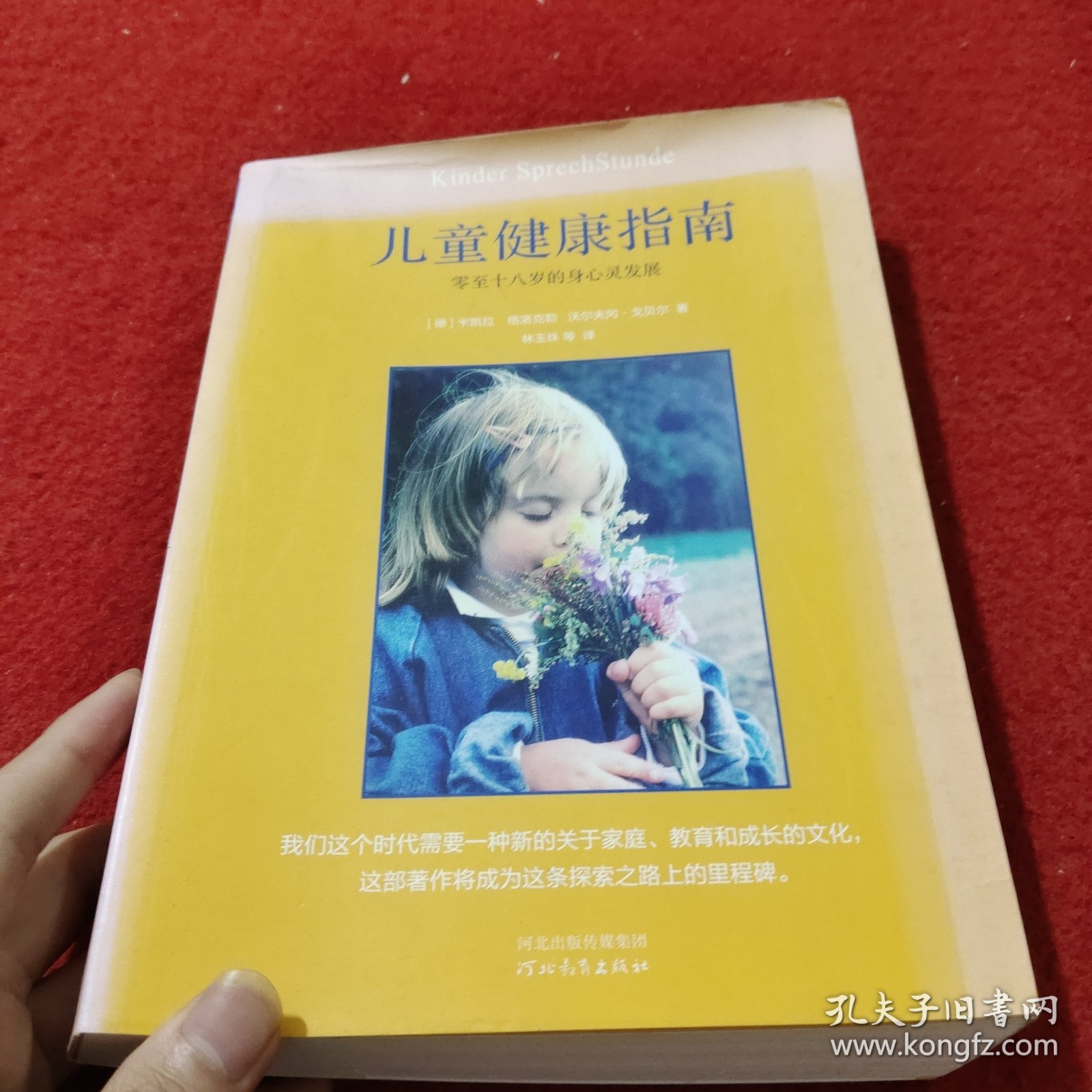 儿童健康指南：零至十八岁的身心灵发展