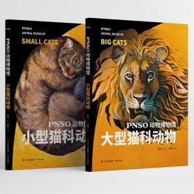 保正版！PNSO动物博物馆：大型+小型猫科动物9787573600325青岛出版社赵闯（绘）杨杨（文）
