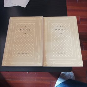 网格本《董贝父子》二册全