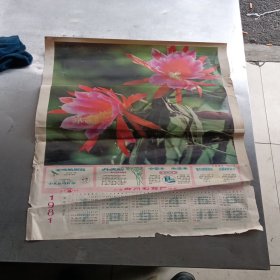 1981年年画日历，湖南省衡阳县人民印刷厂印制