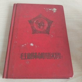 毛主席的革命路线胜利万岁(革命圣地日记)