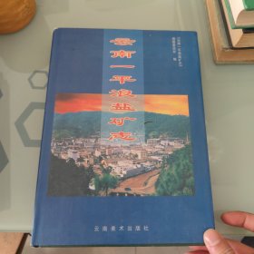 云南一平浪盐矿志