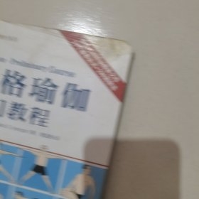 艾扬格瑜伽入门教程