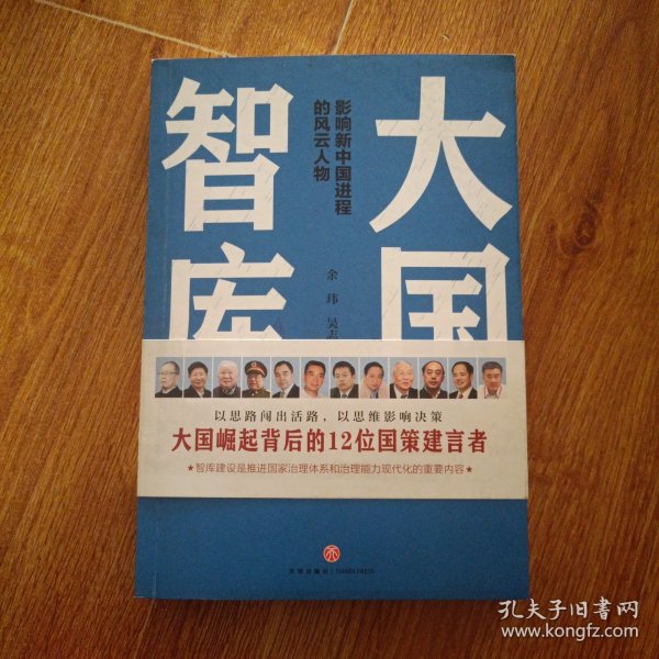 大国智库（大国崛起背后的智库力量和智囊推手：周南、李君如、吴良镛、林毅夫、胡鞍钢……）