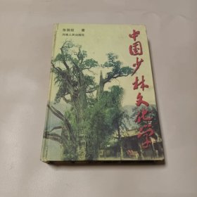 中国少林文化学