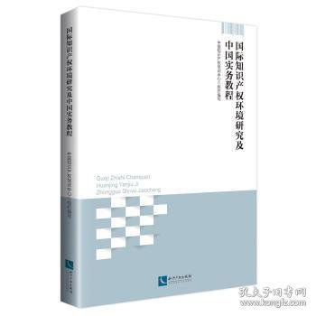 国际知识产权环境研究及中国实务教程