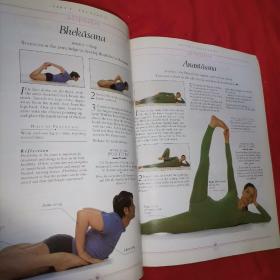 Yoga：The Iyengar Way