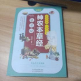 彩图精解一看就懂神农本草经 中医药学实用的现代家庭养生全书指导现代人的日常食疗食养 中医养生书 中医基础理论中药学中草药大全书 药物医学书籍中草药方处方中药养生书籍