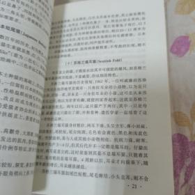 养猫驯猫与猫病防治