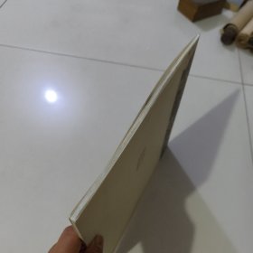 当代山水画精品心解·王镛