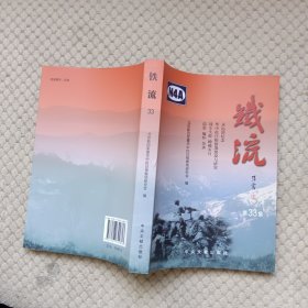 铁流第33集