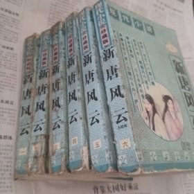 新唐风云1～6册完