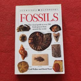 FOSSILS