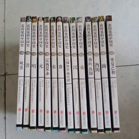 看得见的中国史 全14册