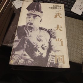 武夫当国：北洋军阀统治时期史话1895-1928(全5册)