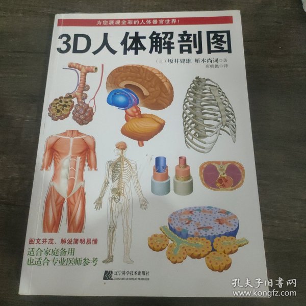 3D人体解剖图