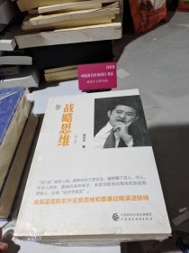 战略思维（第二版）
