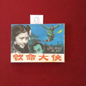 钦命大侠