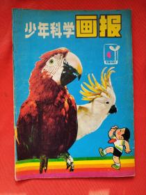 少年科学画报  1981年4