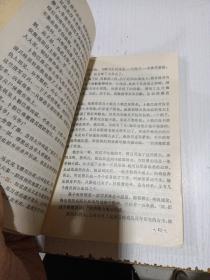 飞雕奇侠