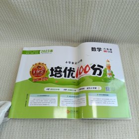 2024春王朝霞培优100分小学单元AB卷六年级北师数学（下册）