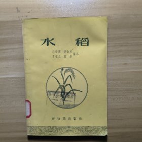 水稻