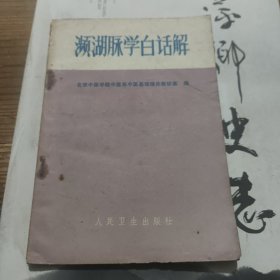 湖脉学白话解