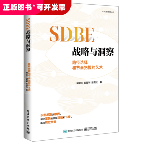 SDBE战略与洞察 路径选择和节奏把握的艺术
