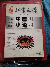 北京文学（选刊版）中篇小说月报