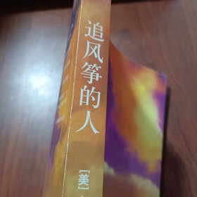 追风筝的人