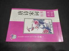 唐诗宋词（行书） 丁永康书