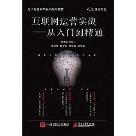 互联网运营实战——从入门到精通陈维贤9787121365645电子工业出版社