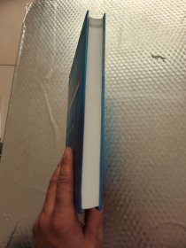 废物焚烧：综合污染预防与控制最佳可行技术
