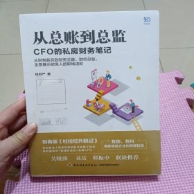 从总账到总监：CFO的私房财务笔记