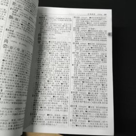 古代汉语词典（第2版）
