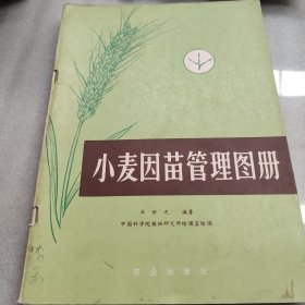 小麦因苗管理图册