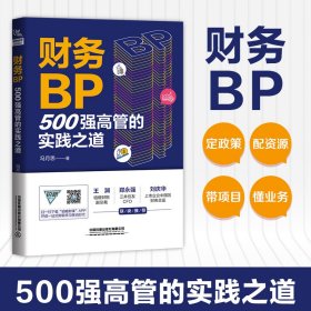 财务BP 500强高管的实践之道