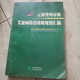云南省州市级艾滋病防治战略规划汇编