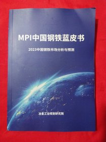 MPI中国钢铁蓝皮书2023中国钢铁市场分析与预测